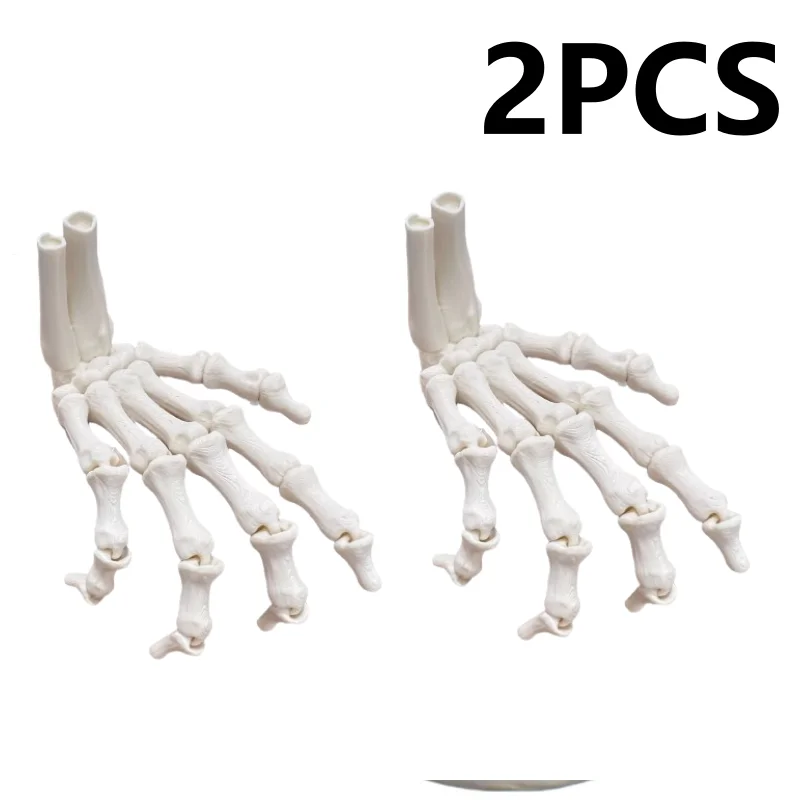 Two-piece mini skeleton hand set
