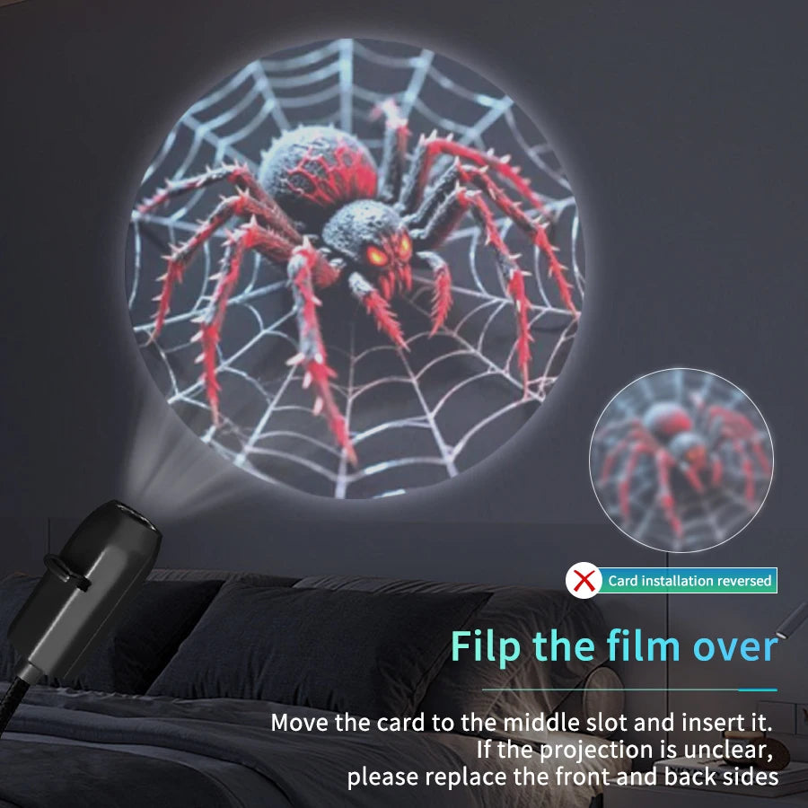 Spider projection illustrating how to correct a reversed film