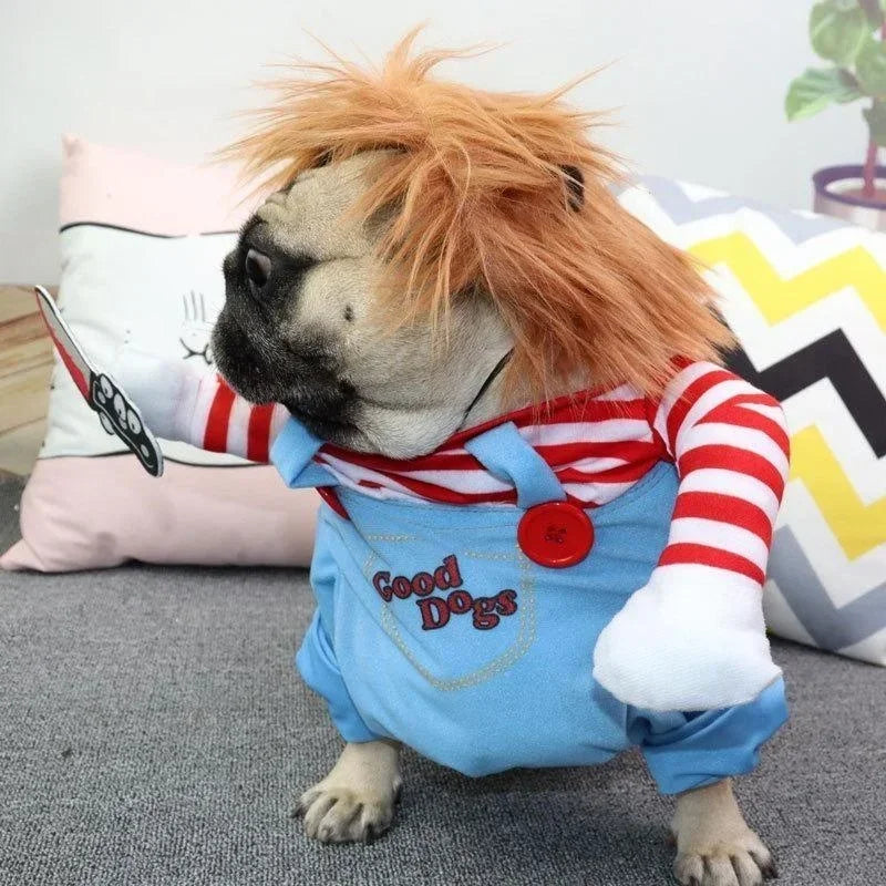 Side view of dog costume and orange wig