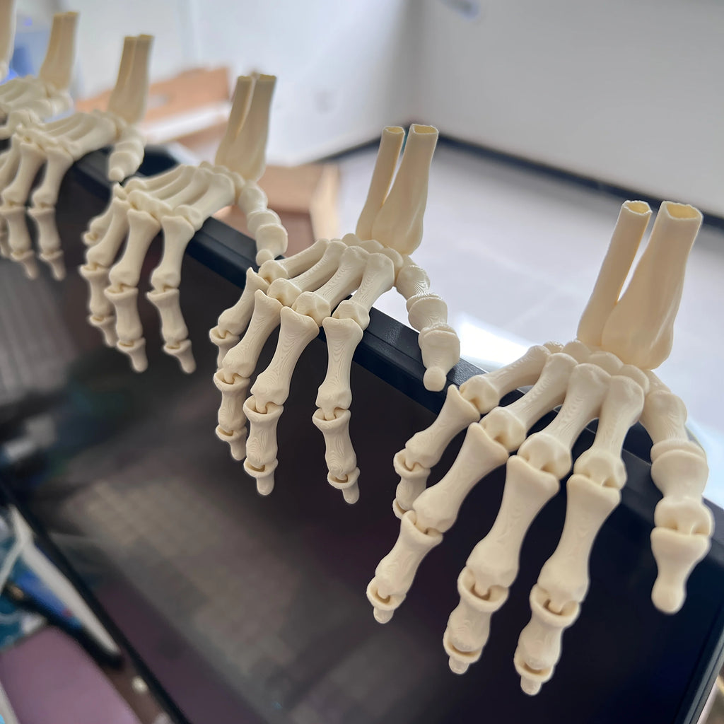 Mini skeleton hands arranged along a display edge