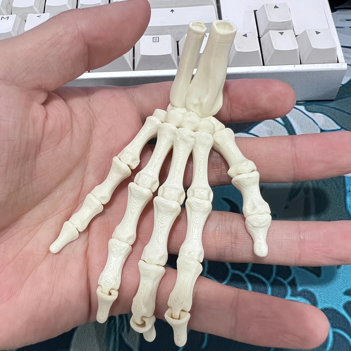 Close-up of miniature bone-shaped fingers