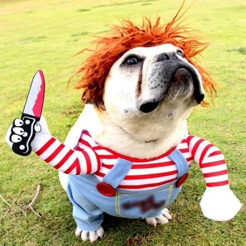 Dog wearing the costume outdoors